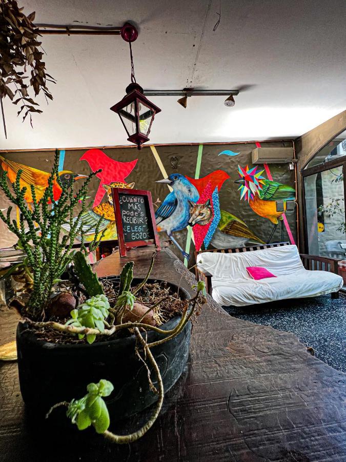 Yunga Hostel Салта Екстериор снимка