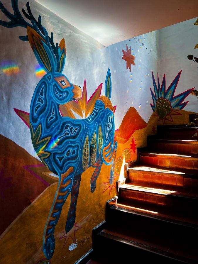 Yunga Hostel Салта Екстериор снимка